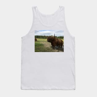 Scottish Highland Cattle Bull 1496 Tank Top